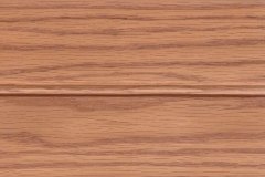 Red-Oak-Autumn